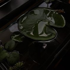 green water lilies are floating on the surface of a black countertop with dark wood accents