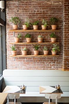 a brick wall with potted plants on it and the words no tenes espaco para tus plantas?