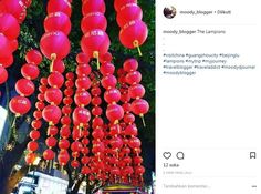 a bunch of red lanterns hanging from the side of a tree in front of a building