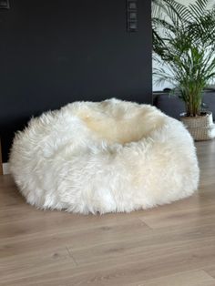 a white bean bag chair sitting on top of a hard wood floor next to a potted plant