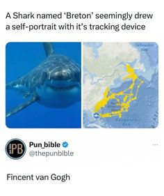 a shark is in the water with yellow markings on it's face and an image of a map