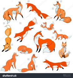 a set of foxes in different poses