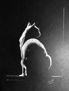 a black and white photo of a dog standing on it's hind legs in the dark