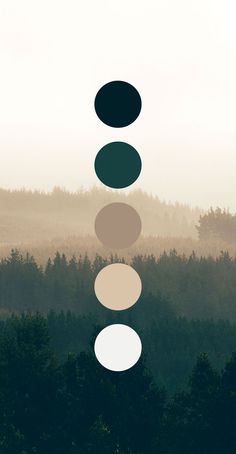 a group of circles hanging from the ceiling in front of trees and foggy sky