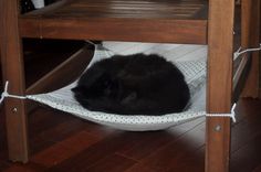 a black cat is curled up in a white bed under a wooden table and chair