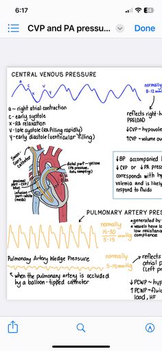 an iphone screen showing the anatomy of the heart and its major functions, including ventrical pressure