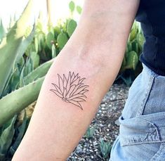 a person with a tattoo on their arm holding a succulent plant in front of them