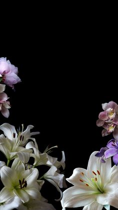 white and purple flowers are in a vase on a black background with space for text