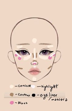 Makeup Based On Face Shape, Makeup Charts Face, Crazy Makeup Ideas, Beauty Makeup Tutorial