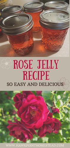 the cover of rose jelly recipe, with four jars full of flowers in front of it