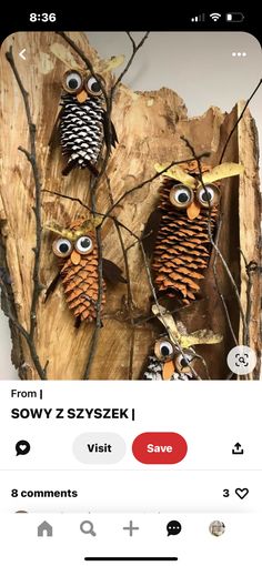 two fake pine cones are sitting on top of a piece of wood with googly eyes