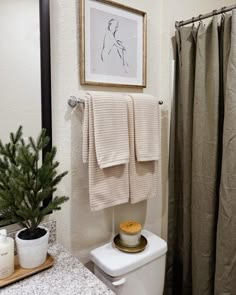 a white toilet sitting next to a bathroom sink under a framed picture on the wall