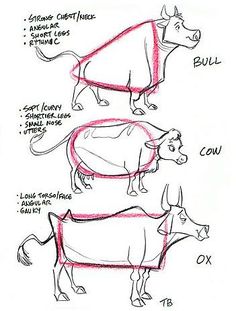 the diagram shows how to draw an animal's body in three different positions, including one