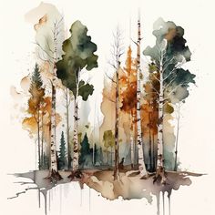 a watercolor painting of trees in the woods