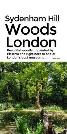 the cover of sydenham hill woods london by peter wood and richard mussels