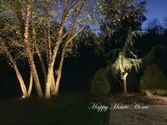 some trees are lit up at night in the dark with happy have home written on it