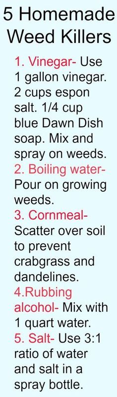 Try one of these all-natural solutions to remove unwanted plants from your garden. Kill Weeds, Garden Weeds, Organic Garden, Garden Pests, Yard Work, Garden Tips, Lawn And Garden, Pest Control