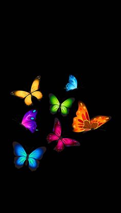 several colorful butterflies flying in the dark