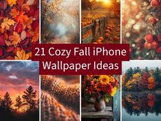 collage of fall iphone wallpapers with trees, flowers and leaves in them