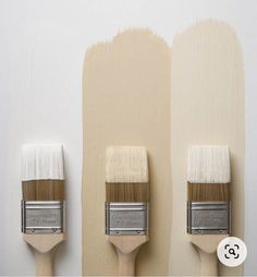 three paintbrushes with different shades of white and beige on them, in front of the same wall