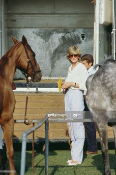 a woman standing next to a brown horse