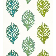 a group of green and blue corals on a white wallpaper background with seaweed