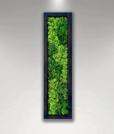 a green moss covered wall hanging in a room