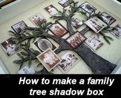 a family tree is displayed in a frame with photos on the bottom and below it