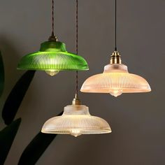 three green and white lights hanging from a ceiling in a room with a plant behind them