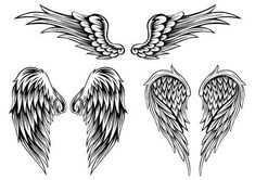 set of four angel wings in black and white