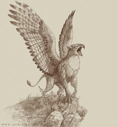 a drawing of an eagle standing on top of a rock with its wings spread out