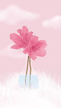 a pink flower in a glass vase with water on the bottom and white feathers around it