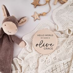 a stuffed animal is next to a baby's arrival tag