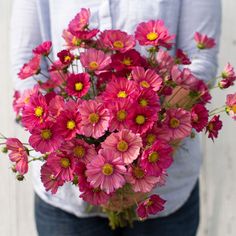 a person holding a bunch of pink flowers in their hands and wearing a blue shirt