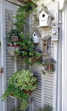 several birdhouses are hanging on the side of a building with plants growing out of them