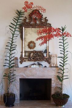 a fireplace with potted plants and a mirror above it