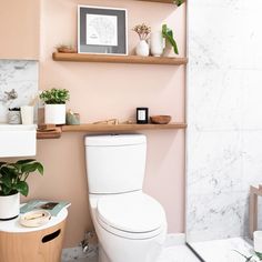 a white toilet sitting in a bathroom next to a wooden shelf filled with potted plants