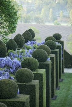 some very pretty bushes and flowers in the grass