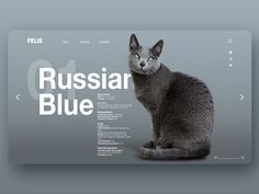 a gray cat sitting on top of a computer screen next to the words russian blue