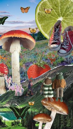 a collage of mushrooms, limes, and other things in the sky with butterflies