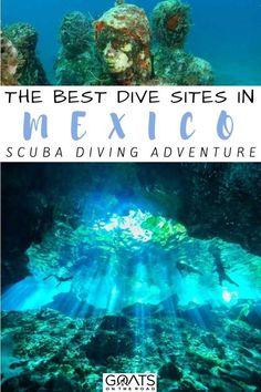 the best dive sites in mexico scuba diving adventure