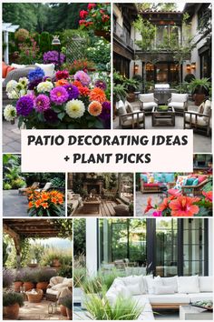 patio decorating ideas and plant picks