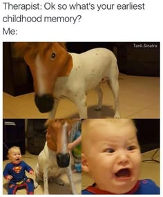 a baby and a horse with caption that reads, therapist ok so what's your earliest childhood memory? me