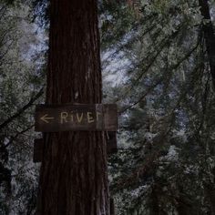 a sign that is on the side of a tree in front of some tall trees