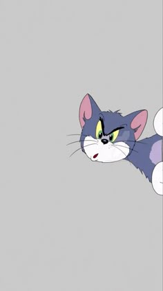 an animated cat with yellow eyes and green eyes looking out from behind a gray wall