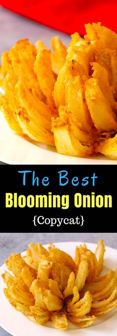 the best blooming onion copycat recipe