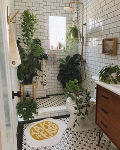 a bathroom with plants on the floor, and a rug in the middle of the room