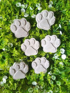 four dog paw soaps sitting on top of green plants