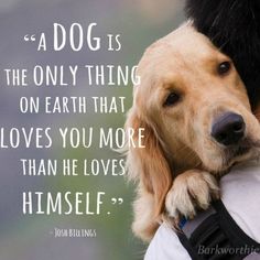 a dog is holding its owner's hand with a quote above it that reads, a dog is the only thing on earth that loves you more than he loves himself