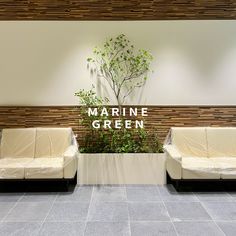 two couches sitting next to each other in front of a wall with the words marine green on it